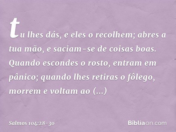 tu lhes dás, e eles o recolhem;
abres a tua mão, e saciam-se de coisas boas. Quando escondes o rosto,
entram em pânico;
quando lhes retiras o fôlego,
morrem e v