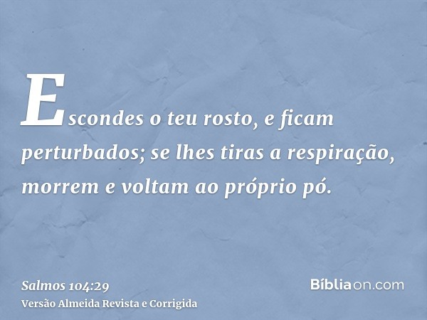 Escondes o teu rosto, e ficam perturbados; se lhes tiras a respiração, morrem e voltam ao próprio pó.