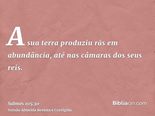 A sua terra produziu rãs em abundância, até nas câmaras dos seus reis.