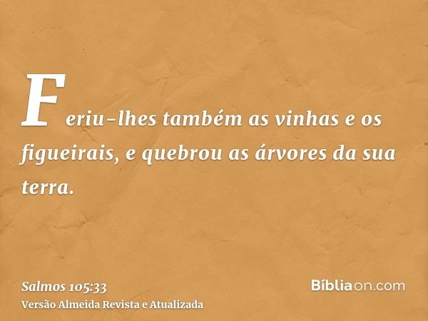 Feriu-lhes também as vinhas e os figueirais, e quebrou as árvores da sua terra.