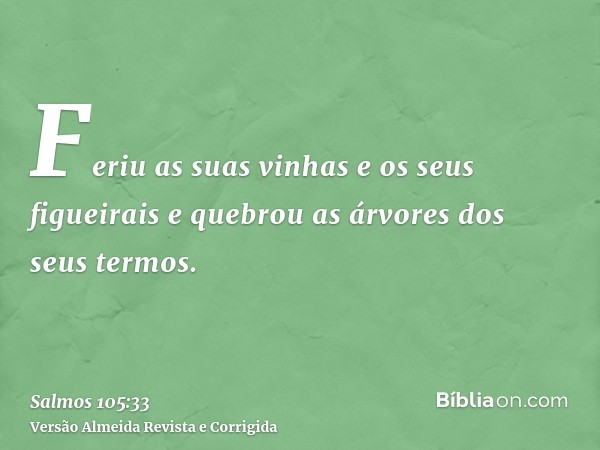 Feriu as suas vinhas e os seus figueirais e quebrou as árvores dos seus termos.