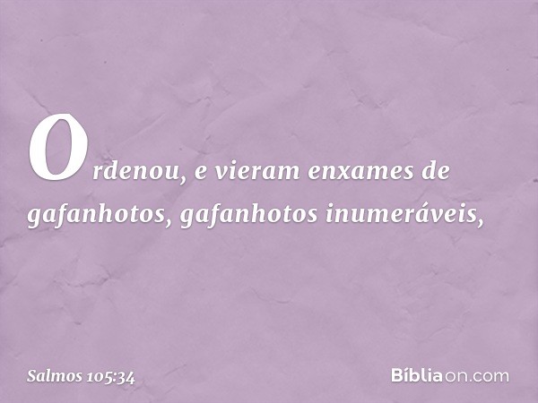 Ordenou, e vieram enxames de gafanhotos,
gafanhotos inumeráveis, -- Salmo 105:34