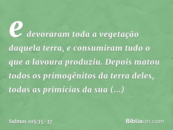 e devoraram toda a vegetação daquela terra,
e consumiram tudo o que a lavoura produziu. Depois matou todos os primogênitos
da terra deles,
todas as primícias da