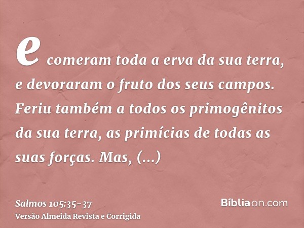 e comeram toda a erva da sua terra, e devoraram o fruto dos seus campos.Feriu também a todos os primogênitos da sua terra, as primícias de todas as suas forças.