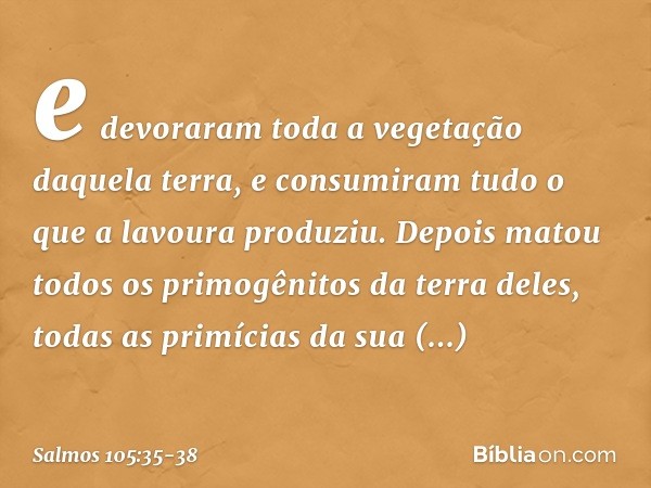 e devoraram toda a vegetação daquela terra,
e consumiram tudo o que a lavoura produziu. Depois matou todos os primogênitos
da terra deles,
todas as primícias da