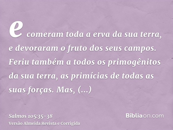 e comeram toda a erva da sua terra, e devoraram o fruto dos seus campos.Feriu também a todos os primogênitos da sua terra, as primícias de todas as suas forças.