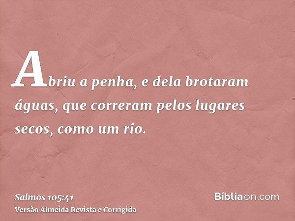Abriu a penha, e dela brotaram águas, que correram pelos lugares secos, como um rio.
