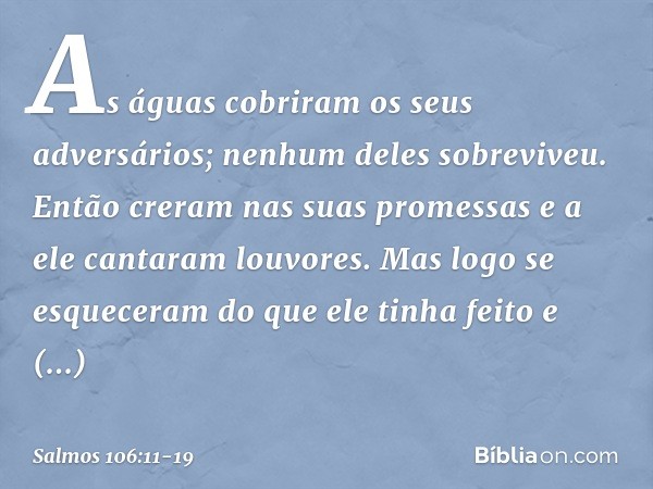 As águas cobriram os seus adversários;
nenhum deles sobreviveu. Então creram nas suas promessas
e a ele cantaram louvores. Mas logo se esqueceram do que ele tin