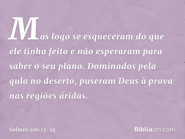 Mas logo se esqueceram do que ele tinha feito
e não esperaram para saber o seu plano. Dominados pela gula no deserto,
puseram Deus à prova nas regiões áridas. -