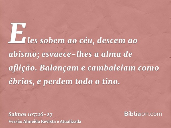 Eles sobem ao céu, descem ao abismo; esvaece-lhes a alma de aflição.Balançam e cambaleiam como ébrios, e perdem todo o tino.