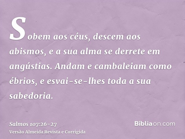 Sobem aos céus, descem aos abismos, e a sua alma se derrete em angústias.Andam e cambaleiam como ébrios, e esvai-se-lhes toda a sua sabedoria.