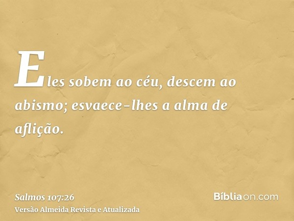 Eles sobem ao céu, descem ao abismo; esvaece-lhes a alma de aflição.