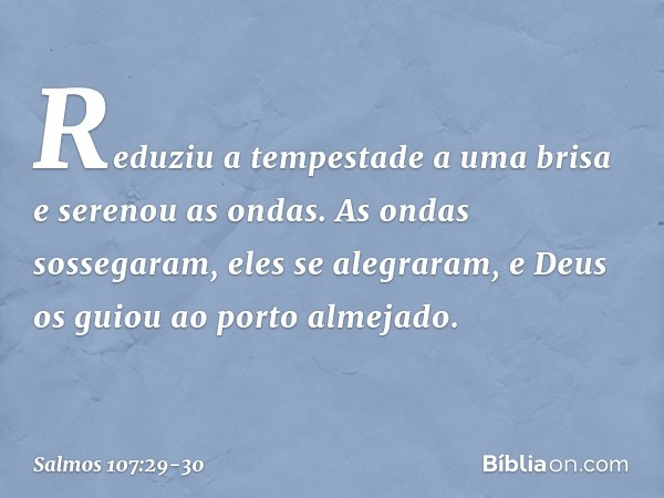 Reduziu a tempestade a uma brisa
e serenou as ondas. As ondas sossegaram, eles se alegraram,
e Deus os guiou ao porto almejado. -- Salmo 107:29-30