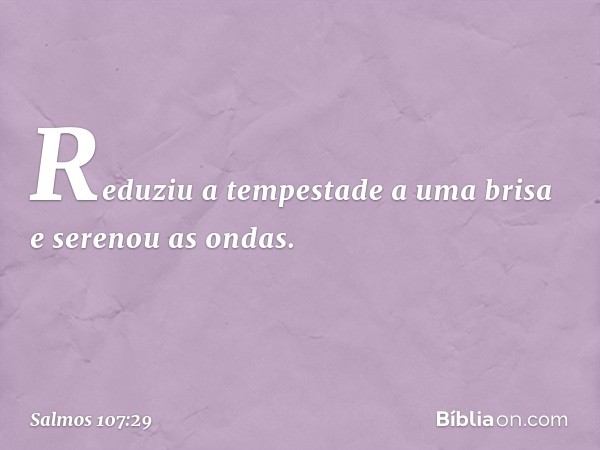 Reduziu a tempestade a uma brisa
e serenou as ondas. -- Salmo 107:29