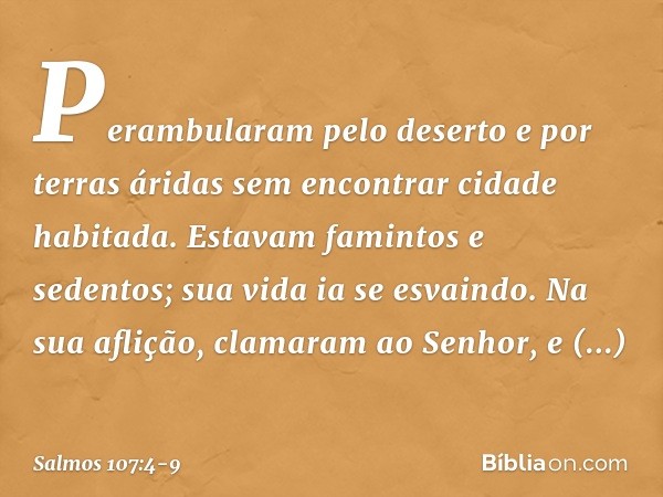 Perambularam pelo deserto e por terras áridas
sem encontrar cidade habitada. Estavam famintos e sedentos;
sua vida ia se esvaindo. Na sua aflição, clamaram ao S