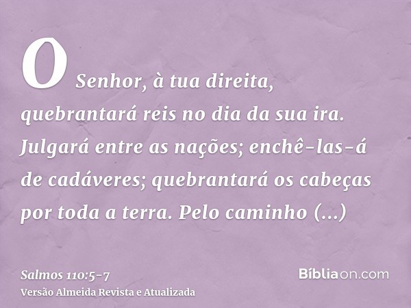 O Senhor, à tua direita, quebrantará reis no dia da sua ira.Julgará entre as nações; enchê-las-á de cadáveres; quebrantará os cabeças por toda a terra.Pelo cami