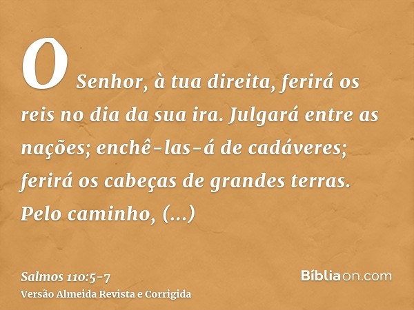 O Senhor, à tua direita, ferirá os reis no dia da sua ira.Julgará entre as nações; enchê-las-á de cadáveres; ferirá os cabeças de grandes terras.Pelo caminho, d