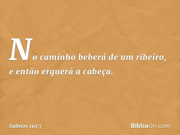 No caminho beberá de um ribeiro,
e então erguerá a cabeça. -- Salmo 110:7