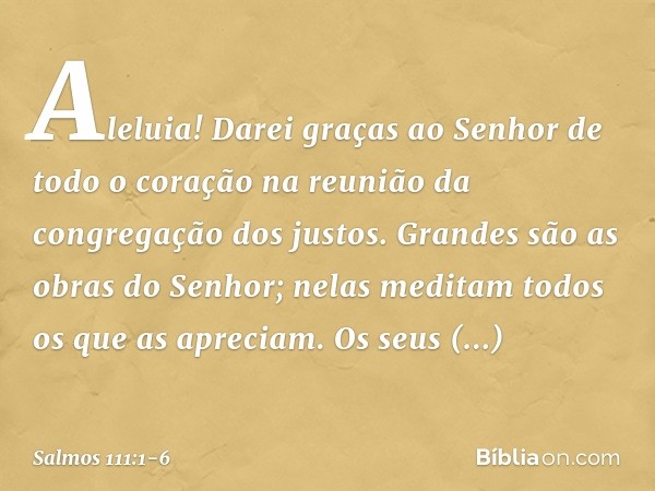 Aleluia!
Darei graças ao Senhor de todo o coração
na reunião da congregação dos justos. Grandes são as obras do Senhor;
nelas meditam todos os que as apreciam. 