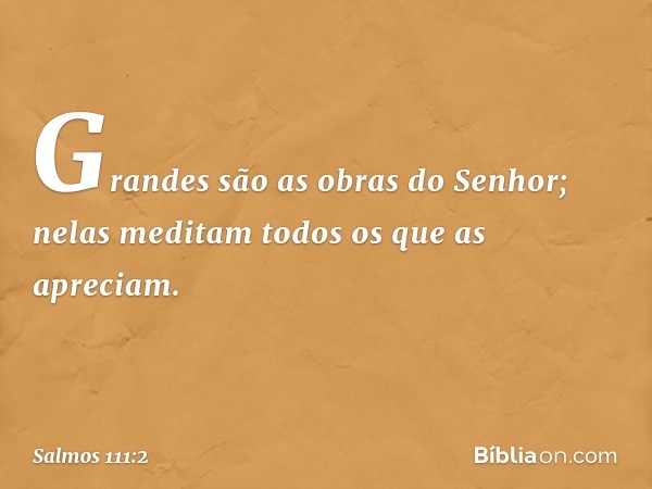 Grandes são as obras do Senhor;
nelas meditam todos os que as apreciam. -- Salmo 111:2