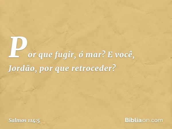 Por que fugir, ó mar?
E você, Jordão, por que retroceder? -- Salmo 114:5