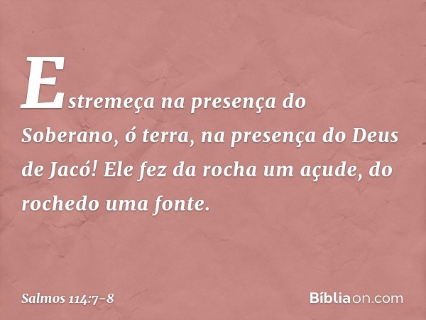 Estremeça na presença do Soberano, ó terra,
na presença do Deus de Jacó! Ele fez da rocha um açude,
do rochedo uma fonte. -- Salmo 114:7-8