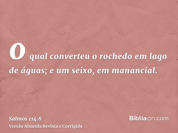 o qual converteu o rochedo em lago de águas; e um seixo, em manancial.