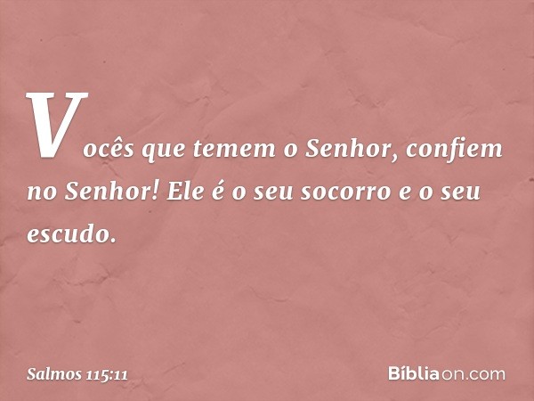 Vocês que temem o Senhor,
confiem no Senhor!
Ele é o seu socorro e o seu escudo. -- Salmo 115:11