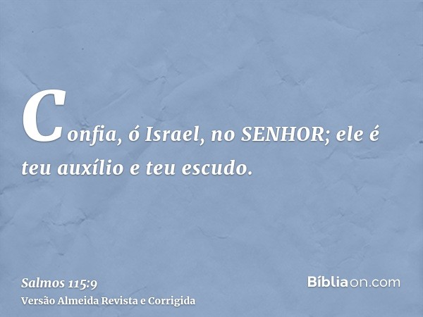 Confia, ó Israel, no SENHOR; ele é teu auxílio e teu escudo.