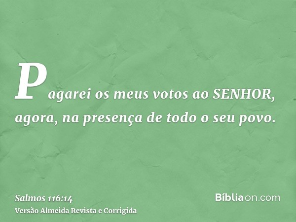 Pagarei os meus votos ao SENHOR, agora, na presença de todo o seu povo.