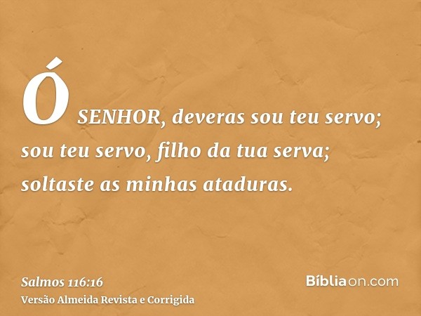 Ó SENHOR, deveras sou teu servo; sou teu servo, filho da tua serva; soltaste as minhas ataduras.