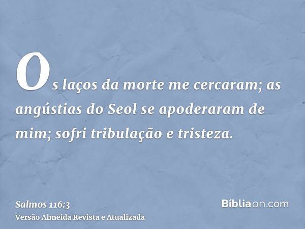 Os laços da morte me cercaram; as angústias do Seol se apoderaram de mim; sofri tribulação e tristeza.