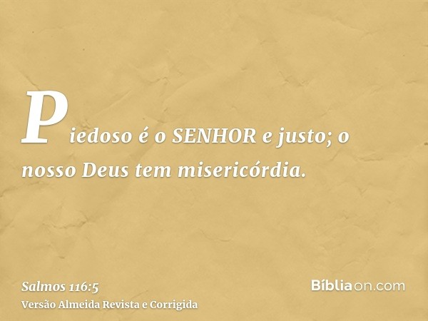 Piedoso é o SENHOR e justo; o nosso Deus tem misericórdia.