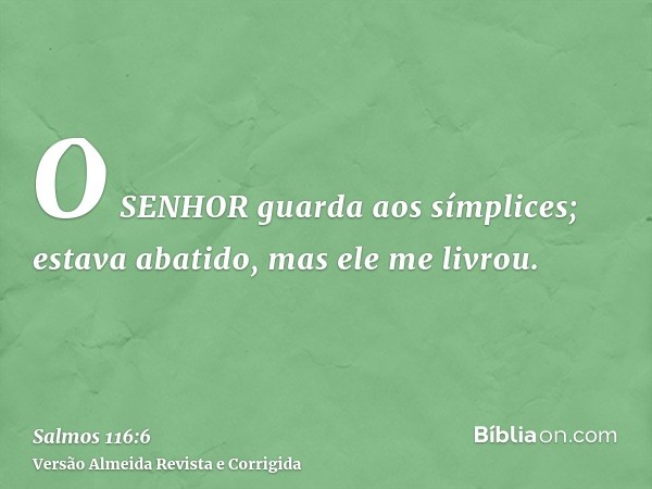 O SENHOR guarda aos símplices; estava abatido, mas ele me livrou.