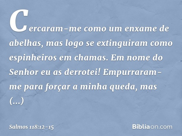 Cercaram-me como um enxame de abelhas,
mas logo se extinguiram
como espinheiros em chamas.
Em nome do Senhor eu as derrotei! Empurraram-me para forçar a minha q