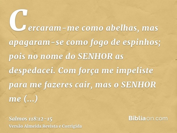 Cercaram-me como abelhas, mas apagaram-se como fogo de espinhos; pois no nome do SENHOR as despedacei.Com força me impeliste para me fazeres cair, mas o SENHOR 