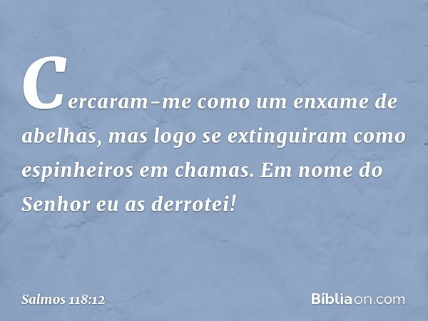 Cercaram-me como um enxame de abelhas,
mas logo se extinguiram
como espinheiros em chamas.
Em nome do Senhor eu as derrotei! -- Salmo 118:12