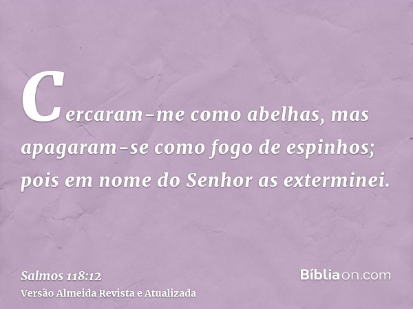 Cercaram-me como abelhas, mas apagaram-se como fogo de espinhos; pois em nome do Senhor as exterminei.