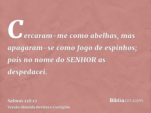 Cercaram-me como abelhas, mas apagaram-se como fogo de espinhos; pois no nome do SENHOR as despedacei.