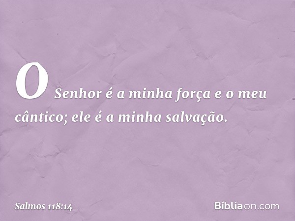 O Senhor é a minha força e o meu cântico;
ele é a minha salvação. -- Salmo 118:14