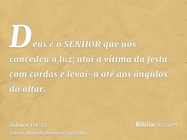 Deus é o SENHOR que nos concedeu a luz; atai a vítima da festa com cordas e levai-a até aos ângulos do altar.