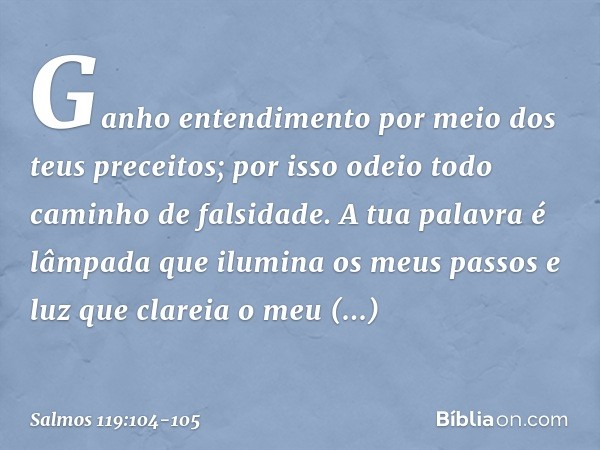 Ganho entendimento
por meio dos teus preceitos;
por isso odeio todo caminho de falsidade. A tua palavra é lâmpada
que ilumina os meus passos
e luz que clareia o