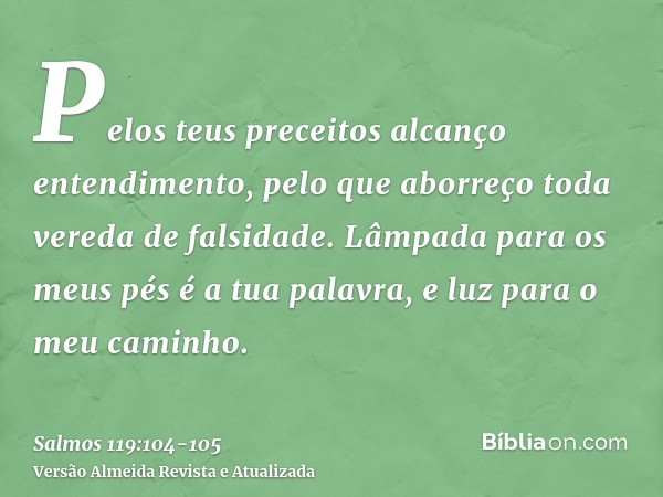 Pelos teus preceitos alcanço entendimento, pelo que aborreço toda vereda de falsidade.Lâmpada para os meus pés é a tua palavra, e luz para o meu caminho.