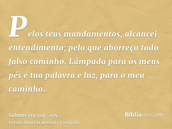 Pelos teus mandamentos, alcancei entendimento; pelo que aborreço todo falso caminho.Lâmpada para os meus pés é tua palavra e luz, para o meu caminho.