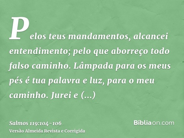 Pelos teus mandamentos, alcancei entendimento; pelo que aborreço todo falso caminho.Lâmpada para os meus pés é tua palavra e luz, para o meu caminho.Jurei e cum