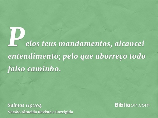 Pelos teus mandamentos, alcancei entendimento; pelo que aborreço todo falso caminho.