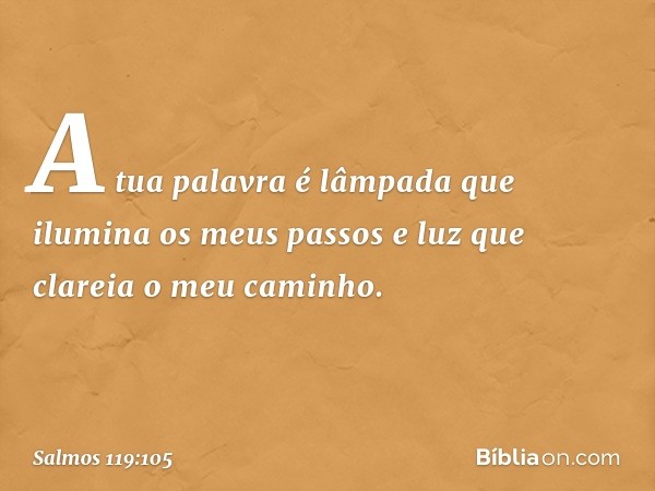 A tua palavra é lâmpada
que ilumina os meus passos
e luz que clareia o meu caminho. -- Salmo 119:105