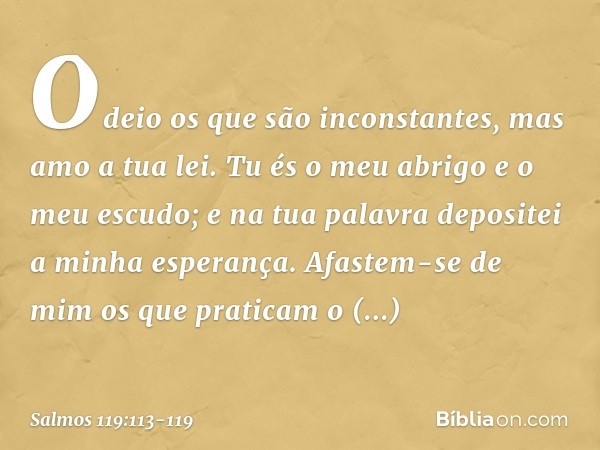 Odeio os que são inconstantes,
mas amo a tua lei. Tu és o meu abrigo e o meu escudo;
e na tua palavra depositei a minha esperança. Afastem-se de mim os que prat