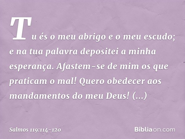 Tu és o meu abrigo e o meu escudo;
e na tua palavra depositei a minha esperança. Afastem-se de mim os que praticam o mal!
Quero obedecer
aos mandamentos do meu 