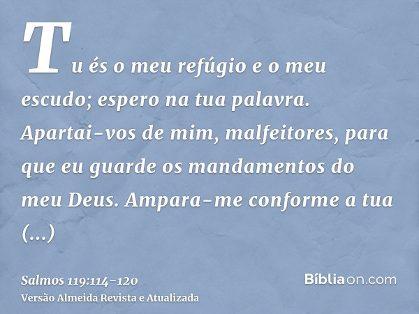 Tu és o meu refúgio e o meu escudo; espero na tua palavra.Apartai-vos de mim, malfeitores, para que eu guarde os mandamentos do meu Deus.Ampara-me conforme a tu